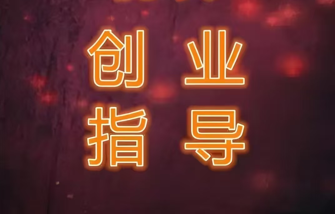 定制创业指导方案